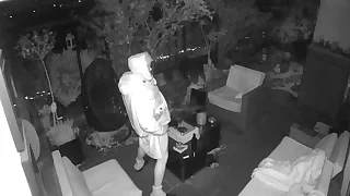 240 exhibitionist porn videos